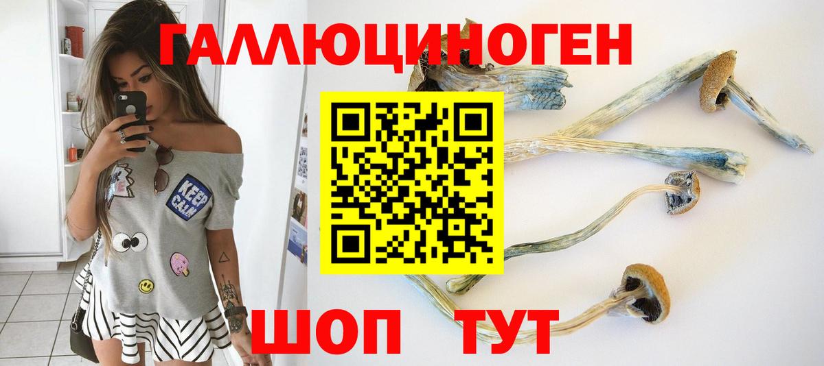 Галлюциногенные грибы Cubensis  Вход с VPN  Большой Камень 